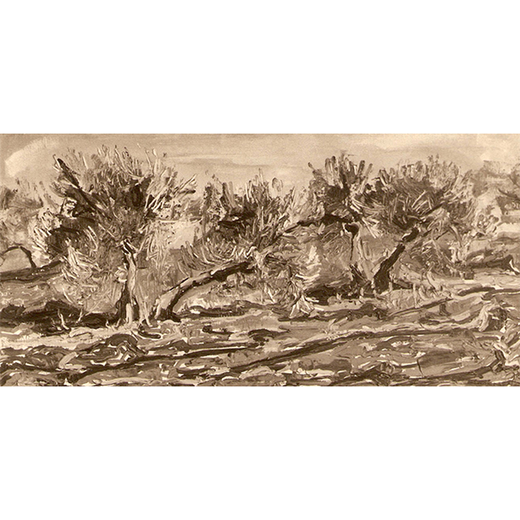 Olivos