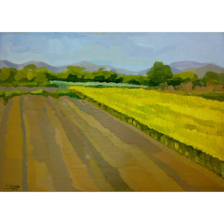 Paisaje con trigales