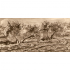 Olivos