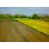 Paisaje con trigales