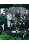 Obra de PL en la portada: Dejadme volver nº 1 (inv. 5/014).